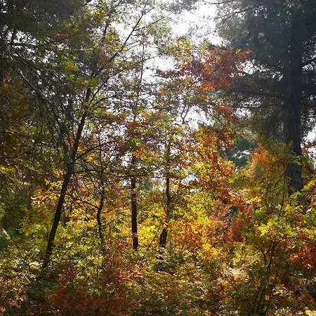Saman çiftliği Yenice Köyü