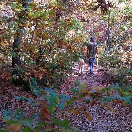 Saman çiftliği * Yenice Köyü