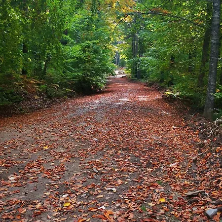 Saman çiftliği * Yenice Köyü